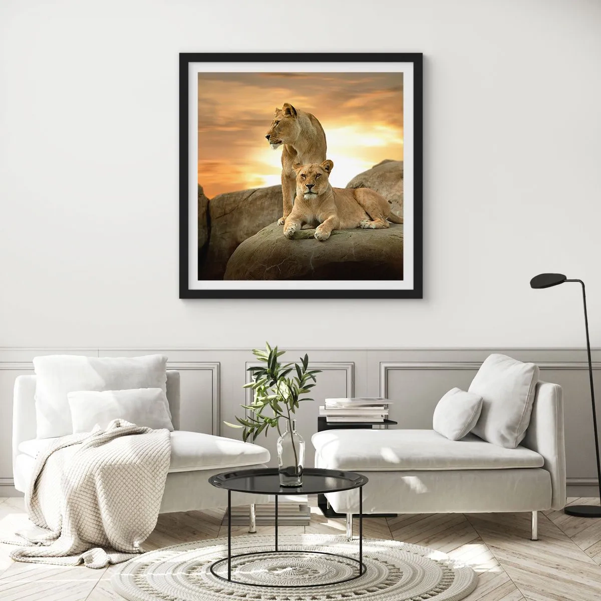Poster in einem schwarzem Rahmen - Königliche Majestät - 30x30 cm