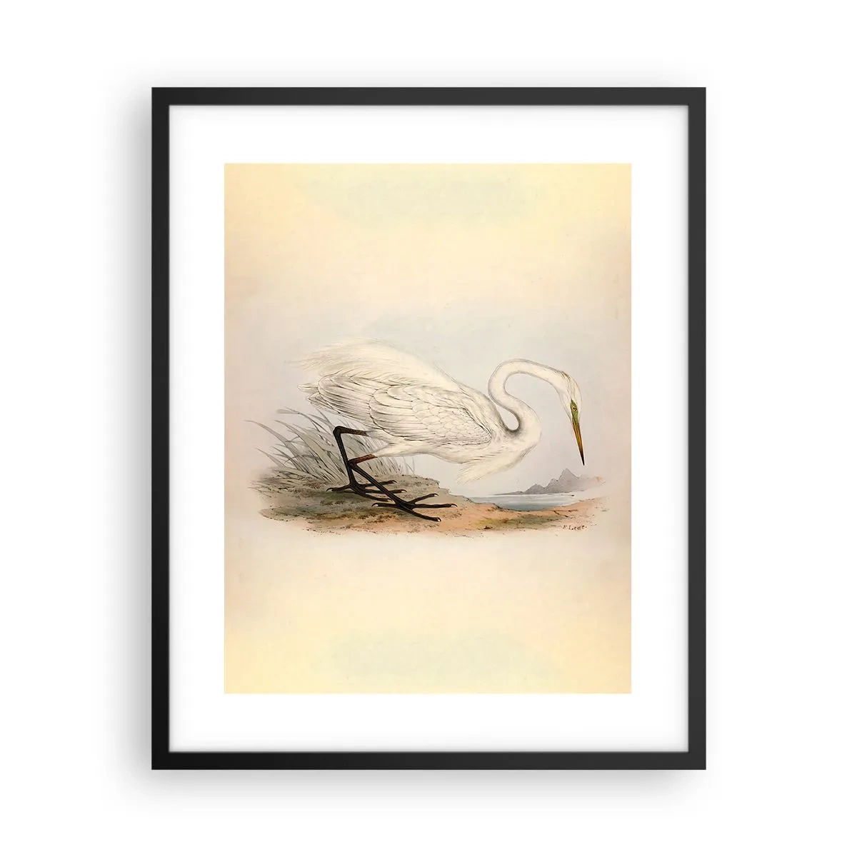 Poster in einem schwarzem Rahmen - Dame auf den Binsen - 40x50 cm