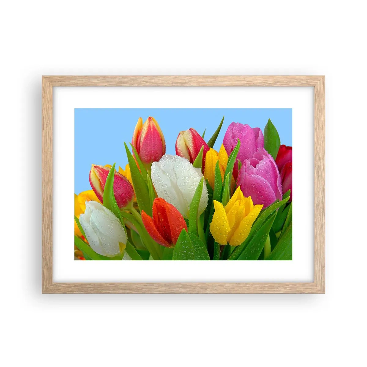 Poster in einem Rahmen aus heller Eiche - Ein blumiger Regenbogen in Tautropfen - 40x30 cm