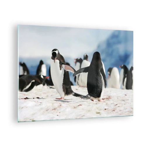 Glasbild - Bild auf glas - Pinguine im Schnee in einer Polarlandschaft - 70x50cm - Tanzen im Schnee - Moderne Wanddekoration für Wohnzimmer und Schlafzimmer ARTTOR