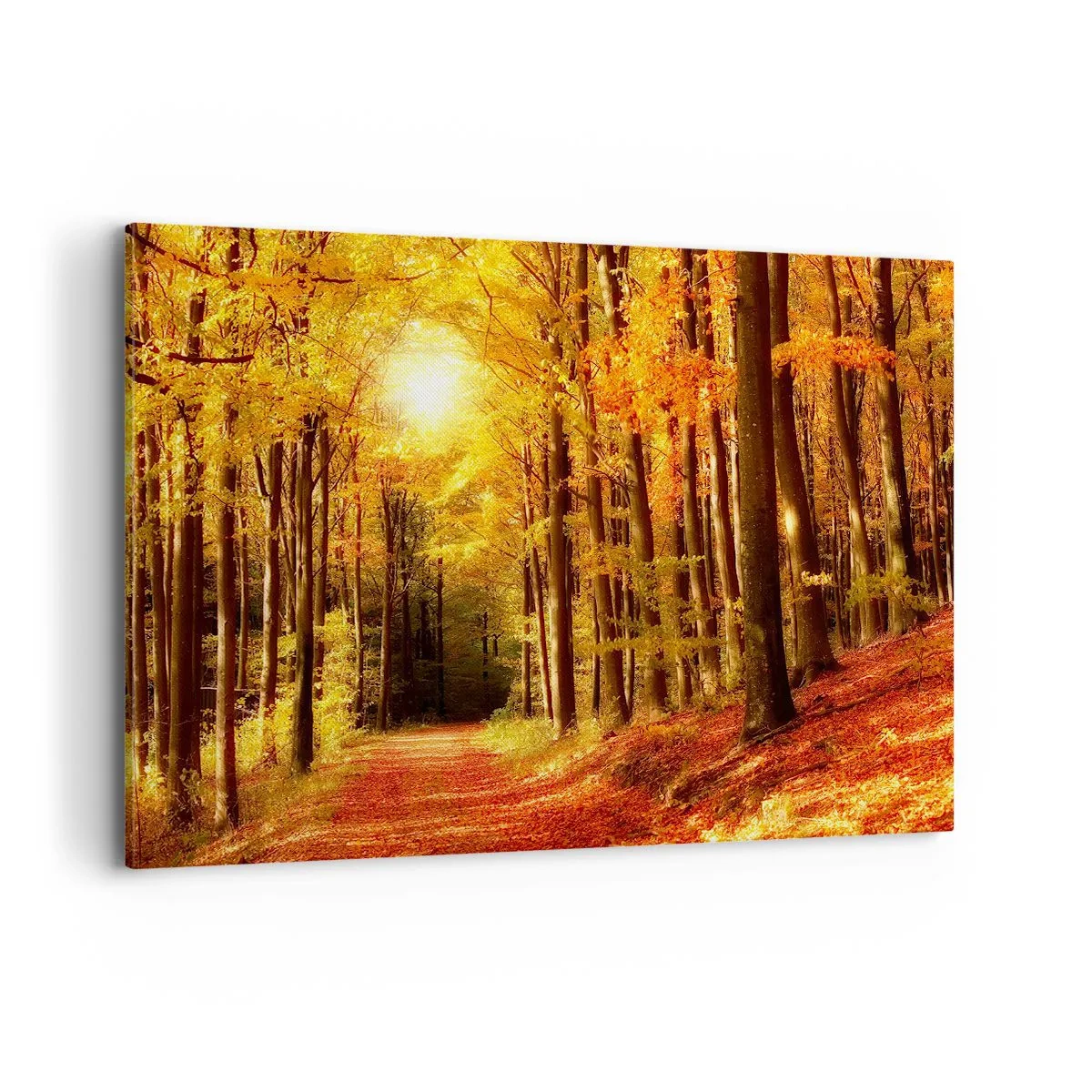 Bild auf Leinwand - Leinwandbild - Herbstwald mit Sonnenstrahlen, die durch die Bäume scheinen - 120x80cm - Goldener Herbst auf einer Forststraße - Moderne Wanddekoration für Wohnzimmer und Schlafzimmer ARTTOR