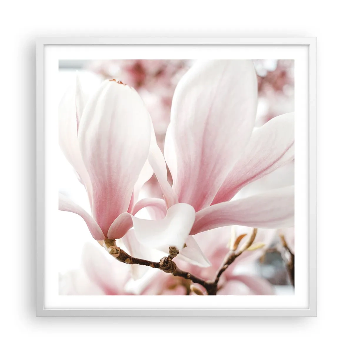 Poster in einem weißen Rahmen - Eine Fülle von Zärtlichkeit - 60x60 cm