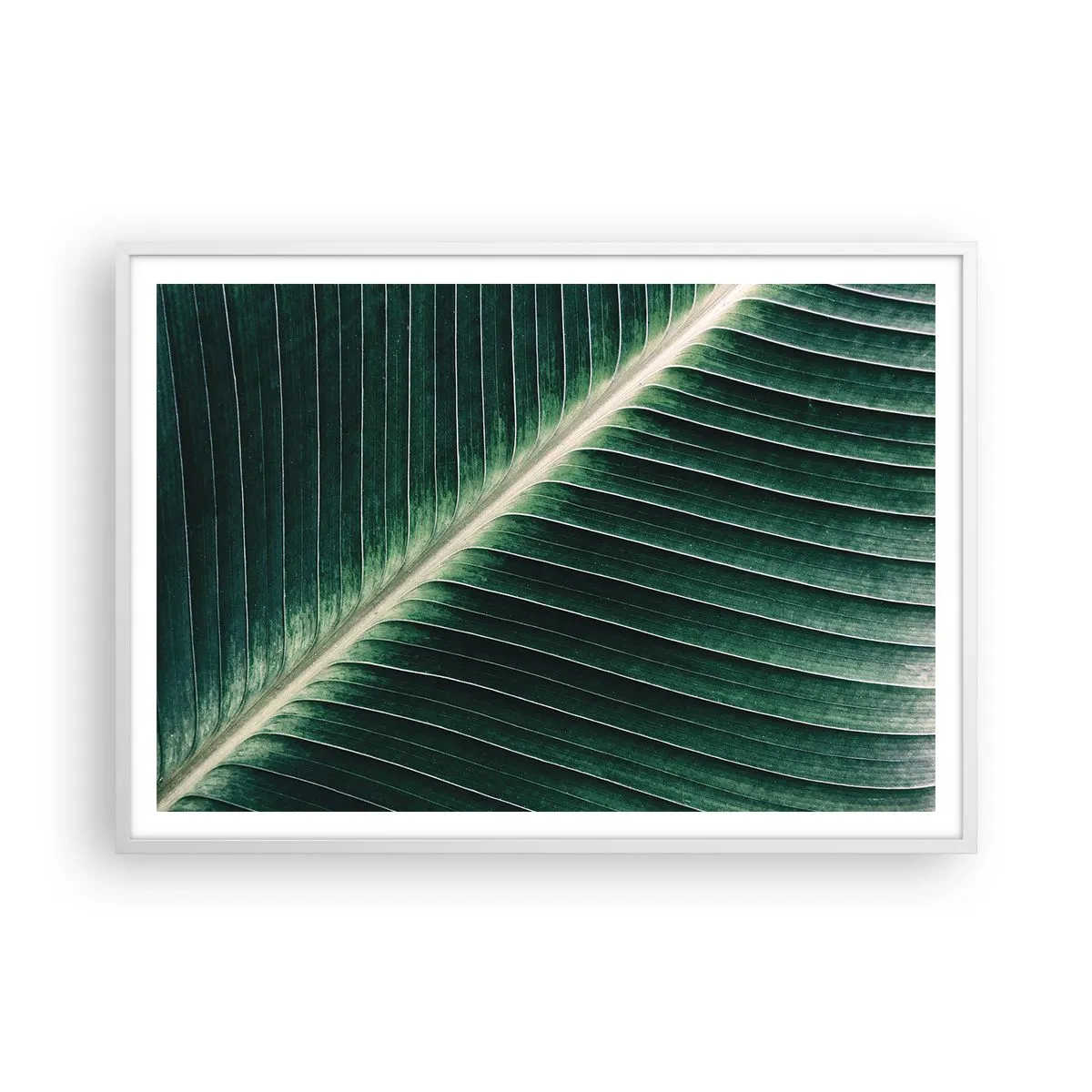 Poster in einem weißen Rahmen - Rhythmus der Natur - 100x70 cm