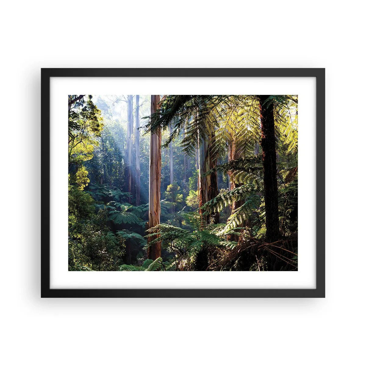 Poster in einem schwarzem Rahmen - Ein Waldmärchen - 50x40 cm