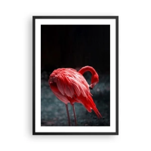 Poster in einem schwarzem Rahmen - Ein roter Flamingo auf dunklem Hintergrund, dezent zu sich selbst gewandt. - 50x70cm - Ein purpurrotes Gedicht der Natur - Moderne Wanddekoration für Wohnzimmer und Schlafzimmer ARTTOR