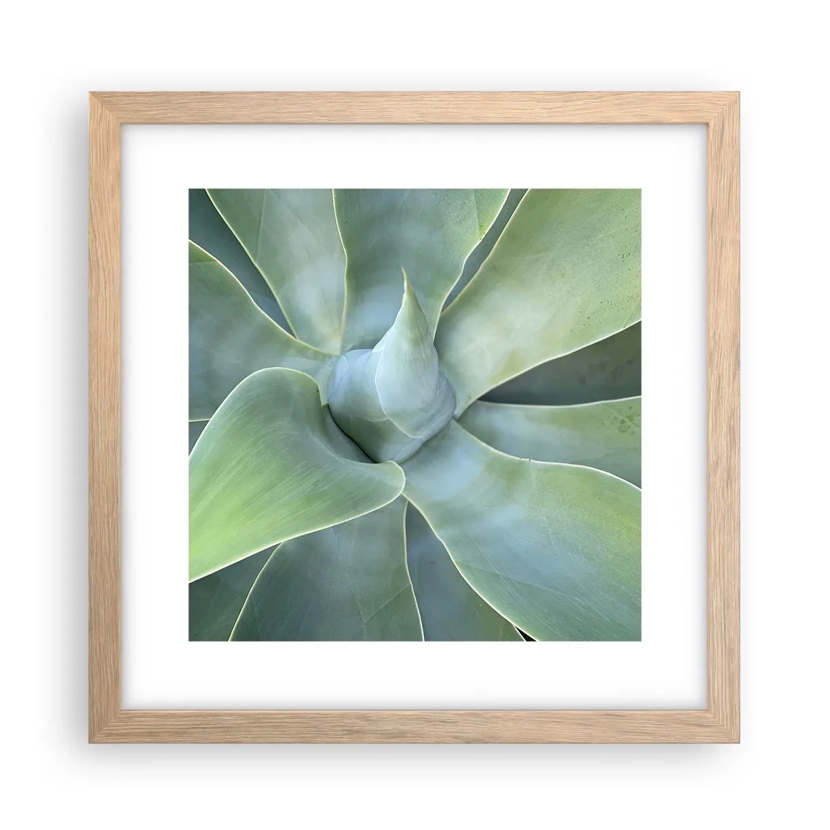 Poster in einem Rahmen aus heller Eiche - Geburt des Grüns - 30x30 cm