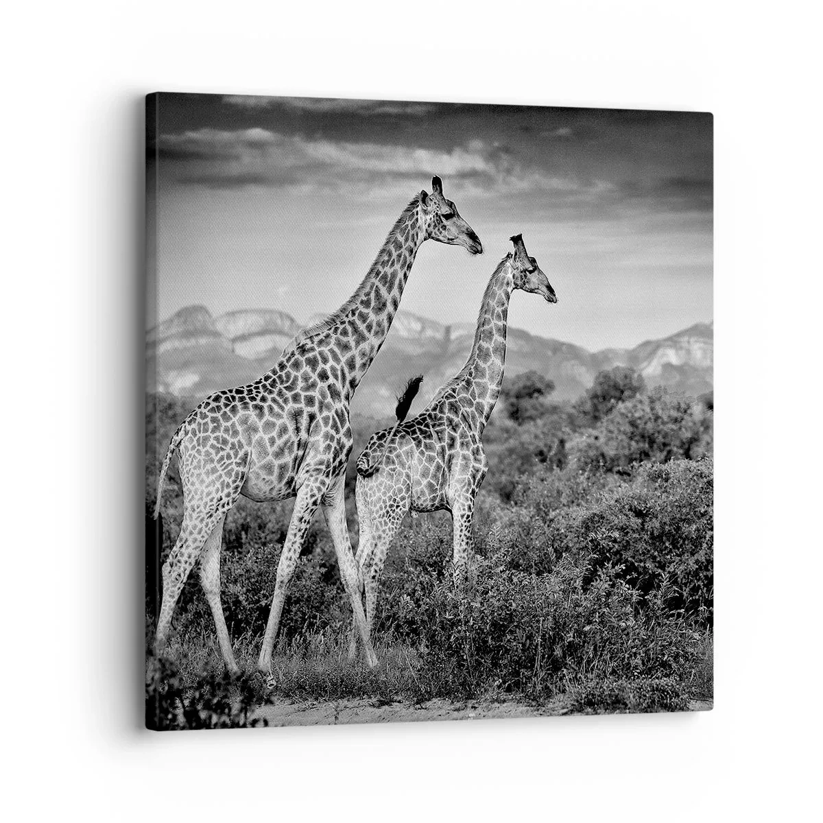 Bild auf Leinwand - Leinwandbild - Hohe Sphären in Afrika - 30x30 cm