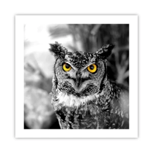 Poster - Nichts wird sich verstecken - 50x50 cm