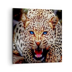 Bild auf Leinwand - Leinwandbild - Schönheitswut tut nicht weh - 50x50 cm