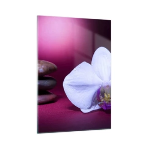Glasbild - Bild auf glas - Weiße Orchidee und Steine vor einem Hintergrund aus violettem Licht - 50x70cm - Eine Studie der Frische in Lila - Moderne Wanddekoration für Wohnzimmer und Schlafzimmer ARTTOR