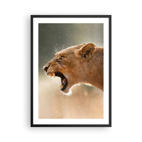 Poster in einem schwarzem Rahmen - Nahaufnahme einer wütenden Löwin in voller Bewegung - 50x70cm - Versuch, nicht zuzuhören - Moderne Wanddekoration für Wohnzimmer und Schlafzimmer ARTTOR