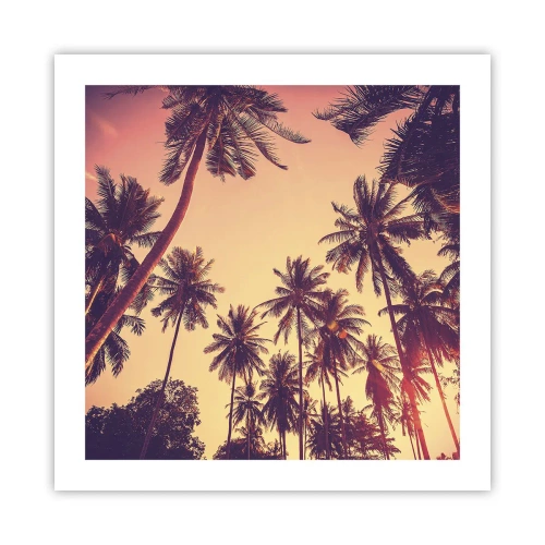 Poster - Tropische Variante - 50x50 cm