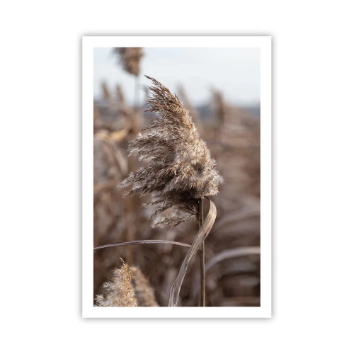 Poster - Zeit, mit dem Wind zu gehen - 61x91 cm