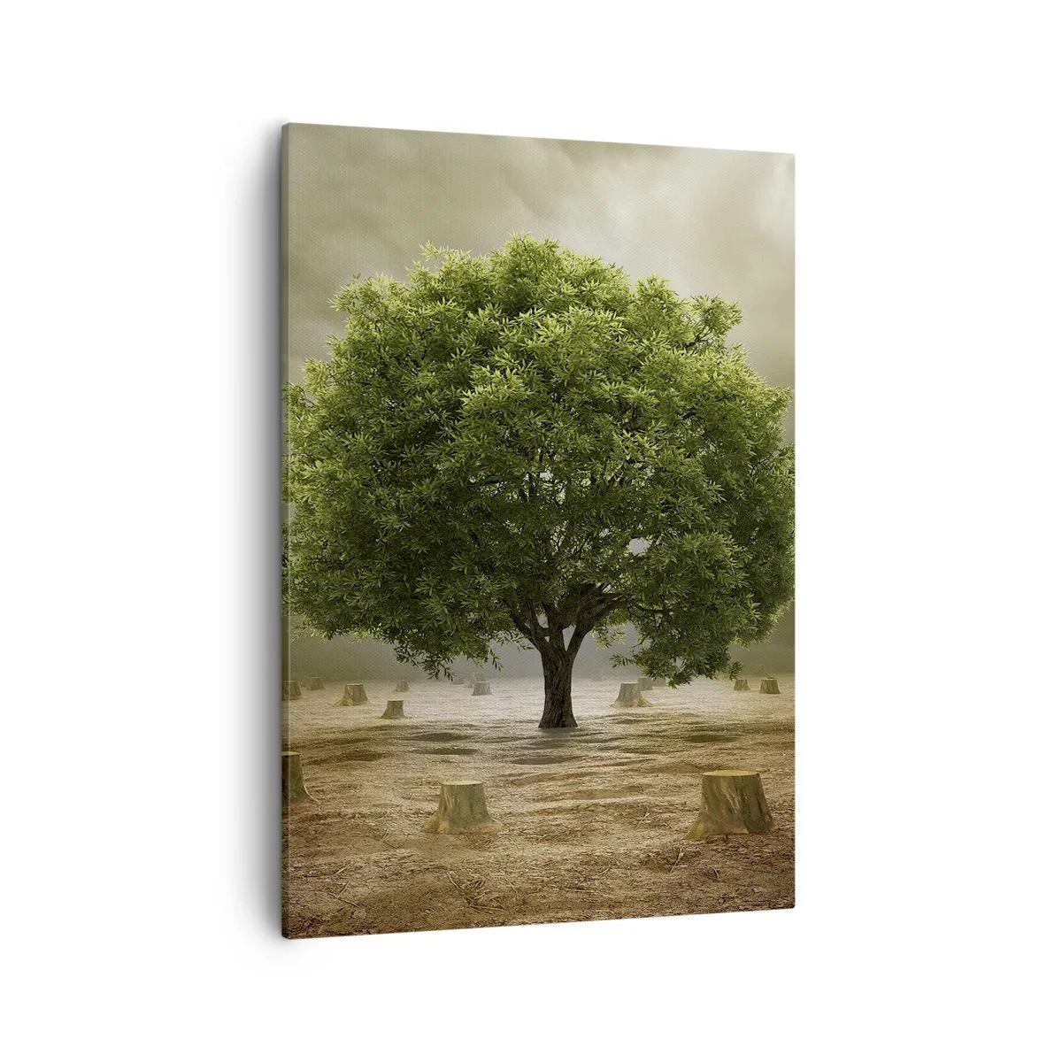 Bild auf Leinwand - Leinwandbild - Ein grüner Baum, umgeben von gefällten Baumstämmen vor einem bewölkten Himmel - 50x70cm - Alle Hoffnung - Moderne Wanddekoration für Wohnzimmer und Schlafzimmer ARTTOR