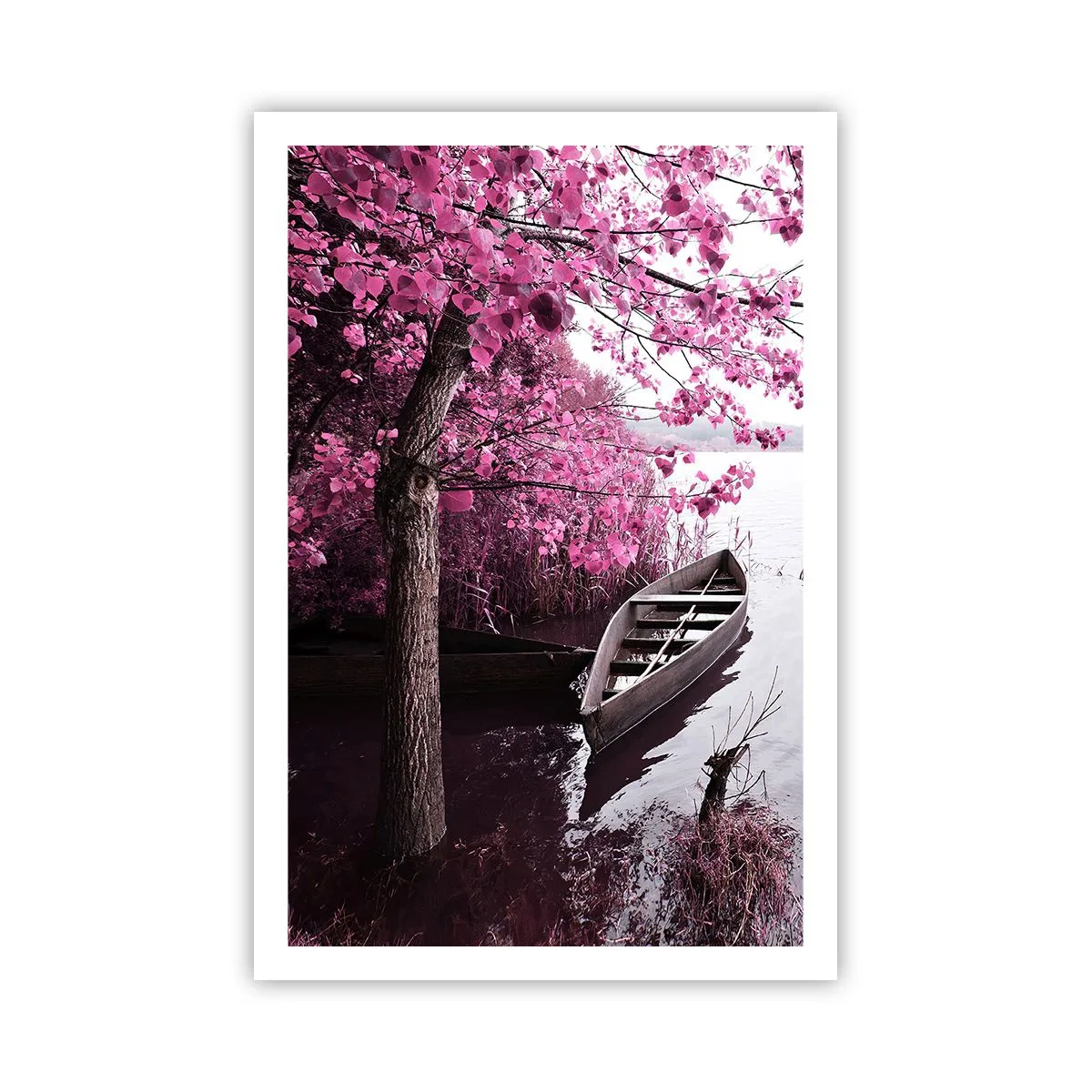 Poster - In rosa Stille - 61x91 cm