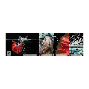 Fototapeten Muster Premium Sand - Du hast drei Wünsche - Abstraktion, Aquarium, Fisch - 100x30 cm