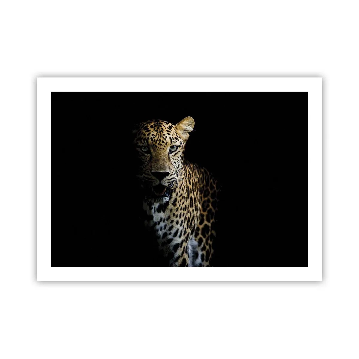 Poster - Dunkle Schönheit - 70x50 cm