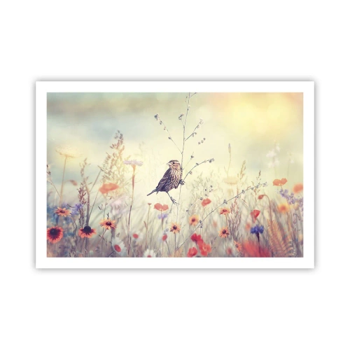 Poster - Vogelporträt mit einer Wiese im Hintergrund - 91x61 cm