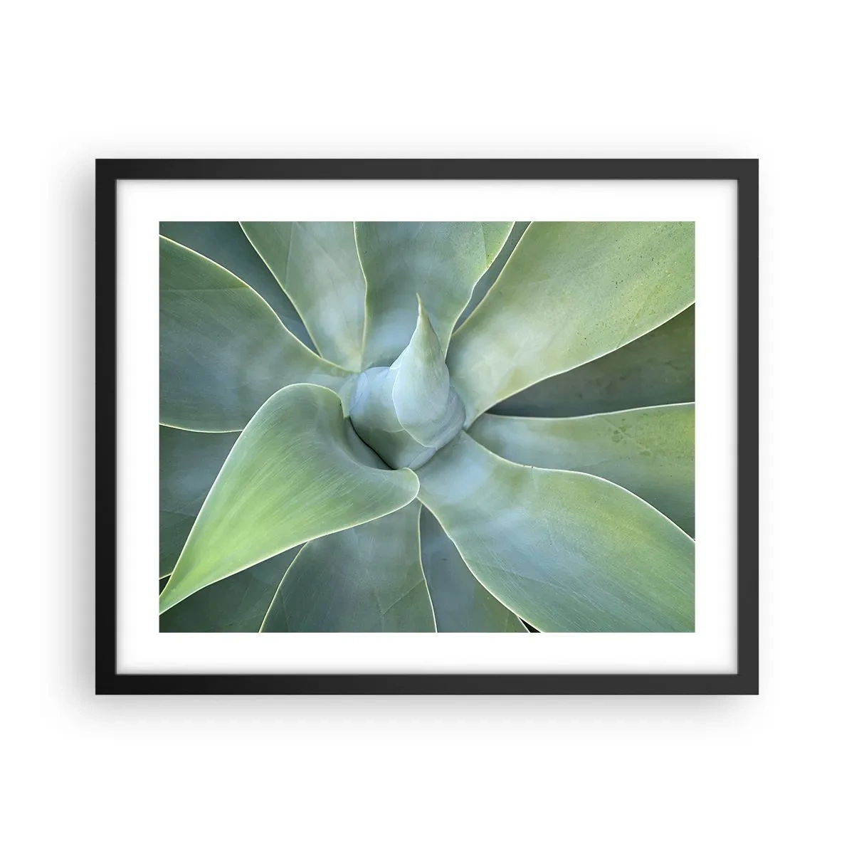 Poster in einem schwarzem Rahmen - Geburt des Grüns - 50x40 cm