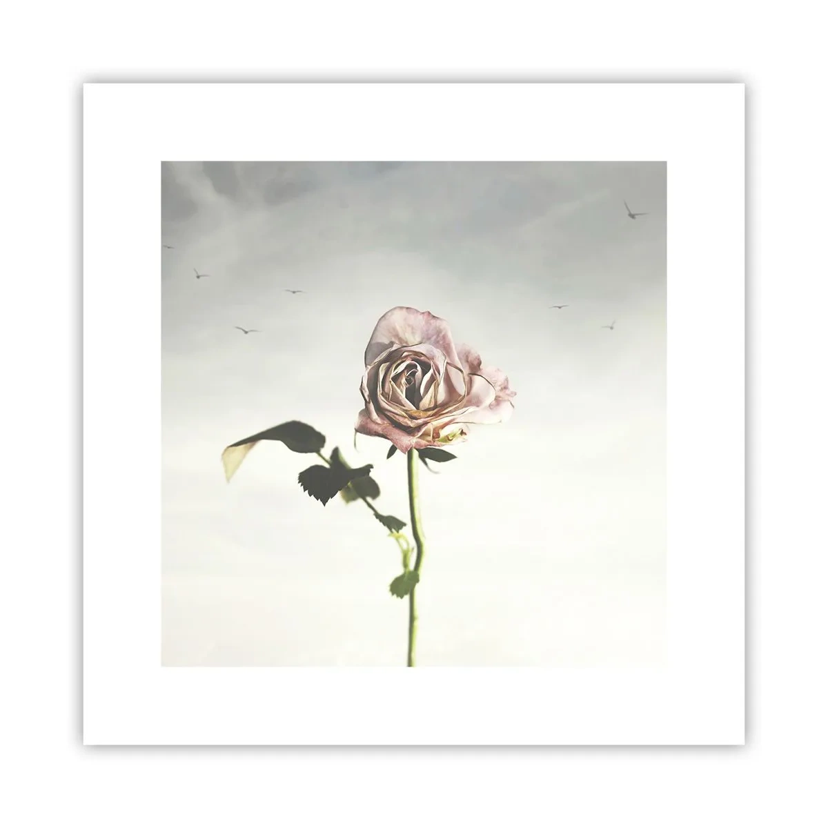 Poster - Begrüßung des Frühlings - 30x30 cm