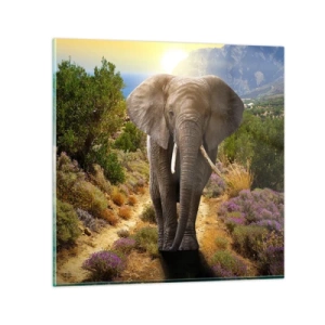 Glasbild - Bild auf glas - So sah Eden aus - 30x30 cm