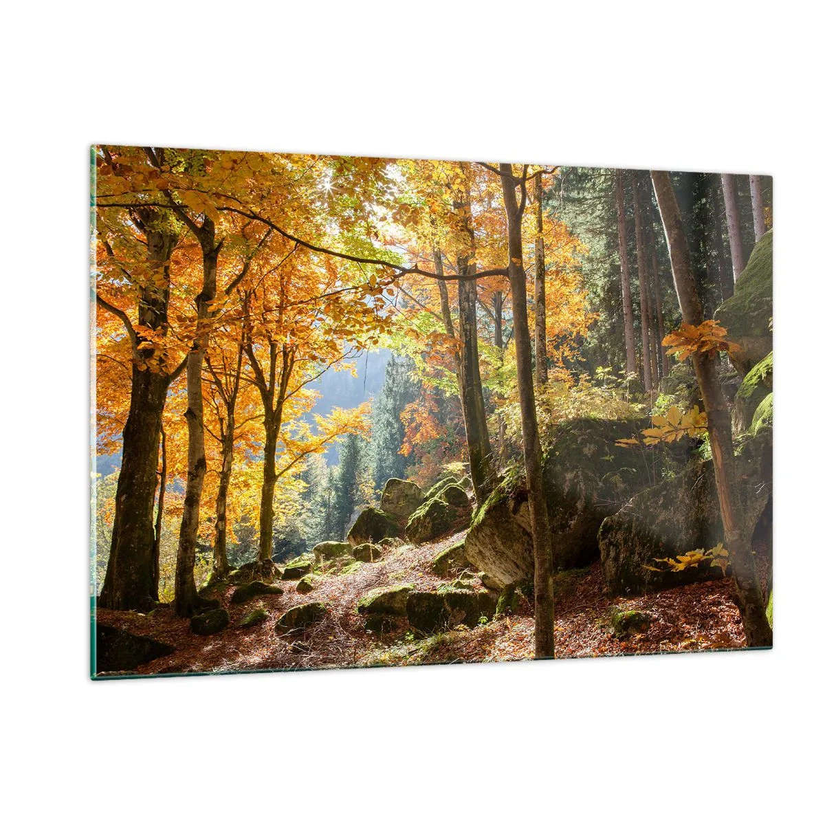 Glasbild - Bild auf glas - Herbstwald mit Sonnenstrahlen und Steinen - 120x80cm - Zeit zum Entspannen - Moderne Wanddekoration für Wohnzimmer und Schlafzimmer ARTTOR