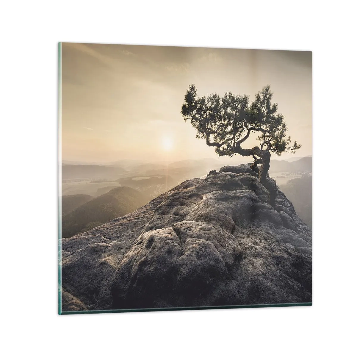 Glasbild - Bild auf glas - Das Leben gewinnt immer - 60x60 cm