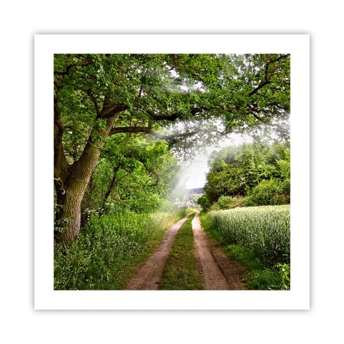 Poster - Et in Arcadia ego - 50x50 cm