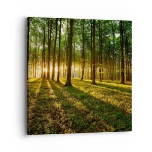 Bild auf Leinwand - Leinwandbild - Alle Frühlingsfotografie - 40x40 cm