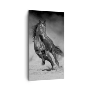 Bild auf Leinwand - Leinwandbild - Würdig des Emirs selbst - 45x80 cm