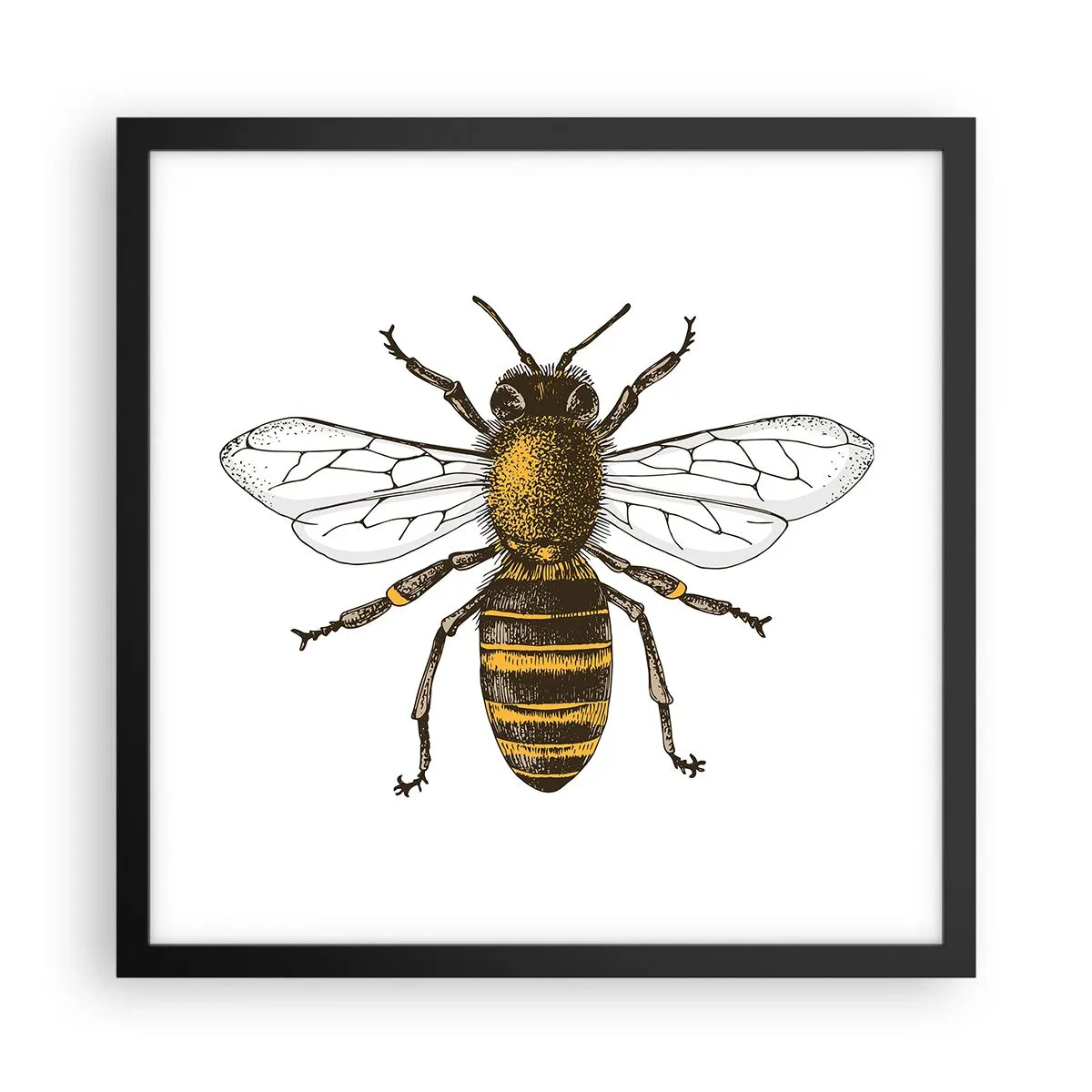 Poster in einem schwarzem Rahmen - Schön und gut - 40x40 cm