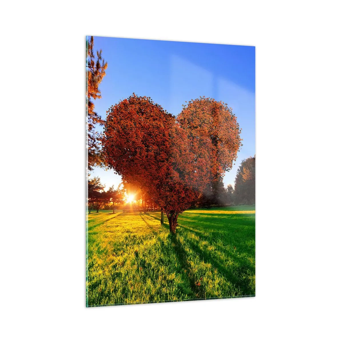 Glasbild - Bild auf glas - Ein herzförmiger Baum vor dem Hintergrund der untergehenden Sonne - 50x70cm - Und wie man den Herbst nicht liebt - Moderne Wanddekoration für Wohnzimmer und Schlafzimmer ARTTOR