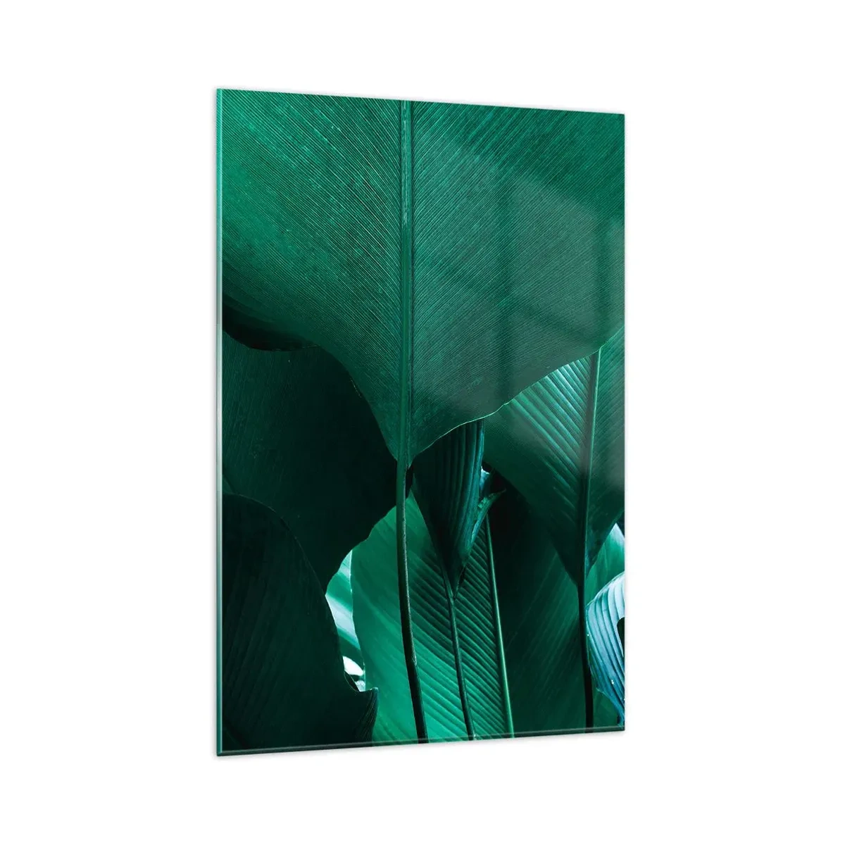 Glasbild - Bild auf glas - Grüne Blätter in minimalistischer Komposition - 80x120cm - Dem Licht zugewandt - Moderne Wanddekoration für Wohnzimmer und Schlafzimmer ARTTOR