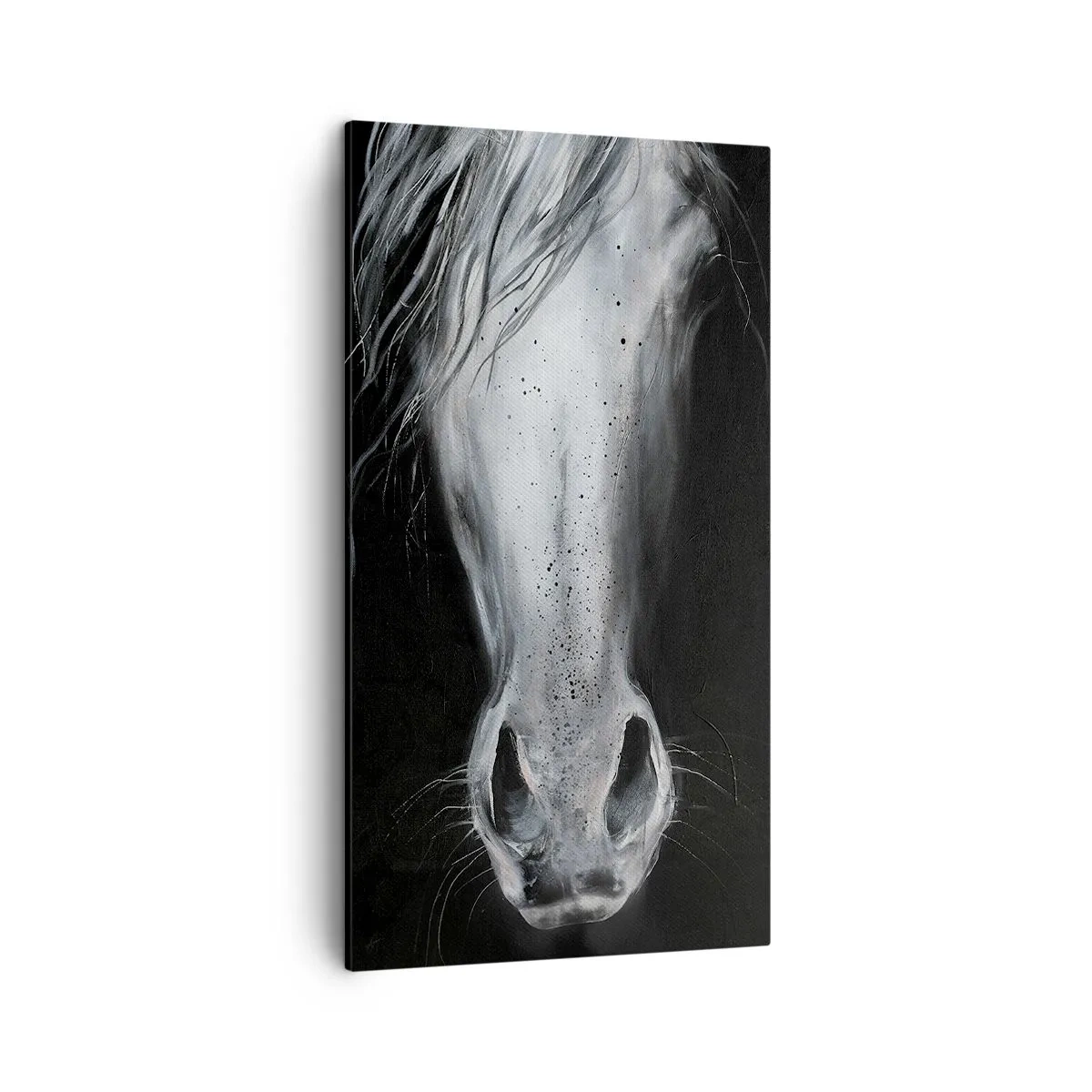 Bild auf Leinwand - Leinwandbild - Verführerischer Look - 45x80 cm