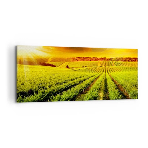 Bild auf Leinwand - Leinwandbild - Unter der australischen Sonne - 100x40 cm