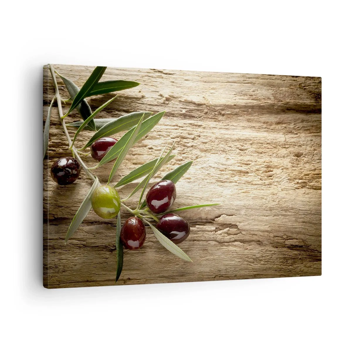 Bild auf Leinwand - Leinwandbild - Olivenzweig mit Früchten auf einem Hintergrund aus gealtertem Holz - 70x50cm - Direkt aus der Natur - Moderne Wanddekoration für Wohnzimmer und Schlafzimmer ARTTOR
