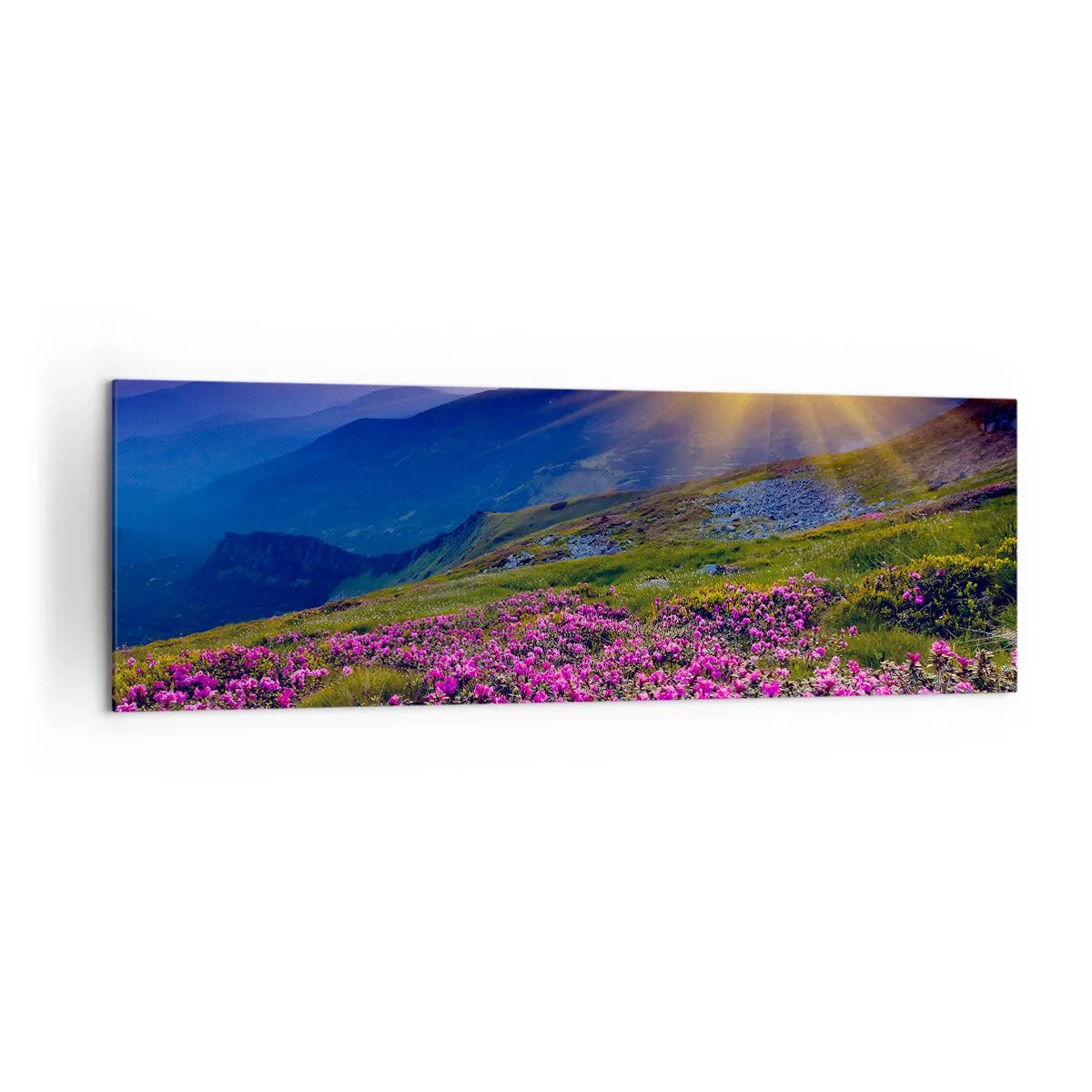 Bild auf Leinwand - Leinwandbild - Eine blühende Wiese mit Blick auf die Berge bei Sonnenuntergang - 160x50cm - … Und drumherum duftet es nach Latschenkiefer und dem Duft von Kräutern - Moderne Wanddekoration für Wohnzimmer und Schlafzimmer ARTTOR