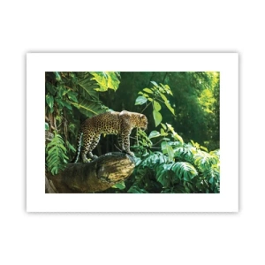 Poster - Auf die Jagd? - 40x30 cm