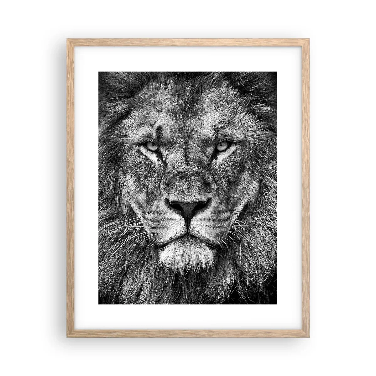 Poster in einem Rahmen aus heller Eiche - Im Krönungsgewand - 40x50 cm