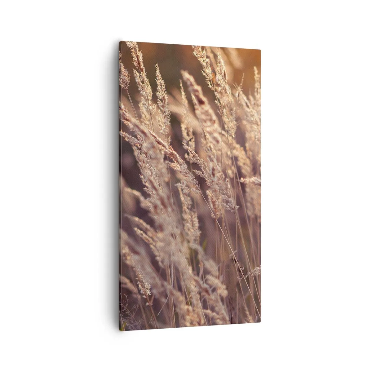 Bild auf Leinwand - Leinwandbild - Bereit, den Herbst willkommen zu heißen - 55x100 cm