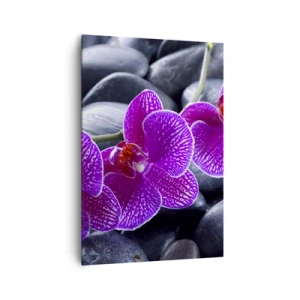 Bild auf Leinwand - Leinwandbild - Lila Orchideen vor einem Hintergrund aus schwarzen Steinen - 70x100cm - Die Steine 