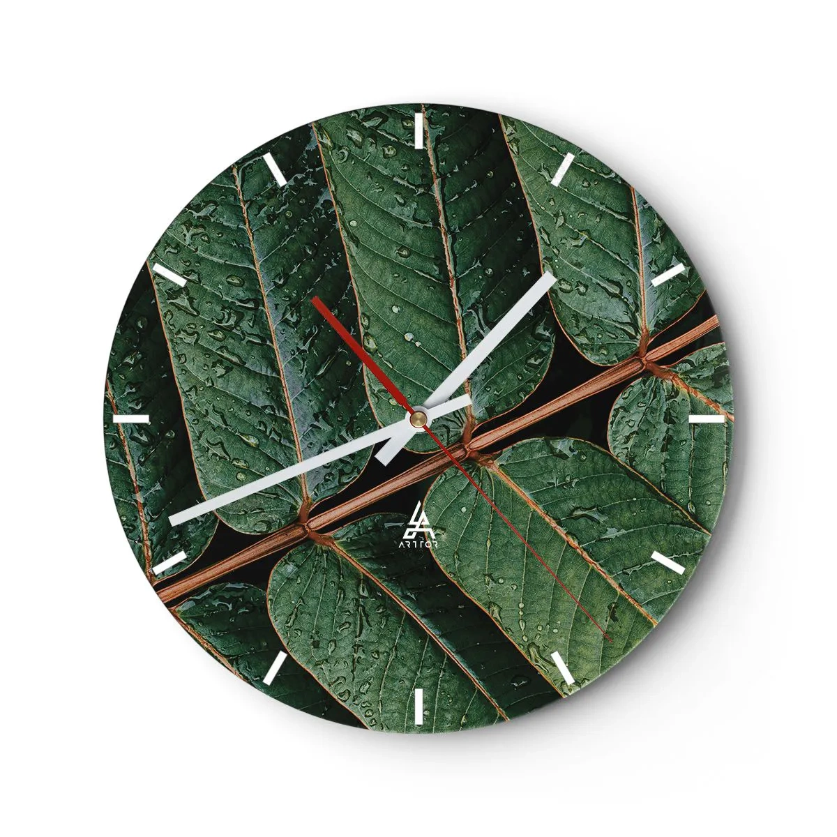 Wanduhr - Glasuhr - Nahaufnahme von Blättern mit Wassertropfen auf dunklem Hintergrund - 30x30cm - Im grünen Rhythmus - Moderne Wanddekoration für Wohnzimmer, Küche und Schlafzimmer ARTTOR
