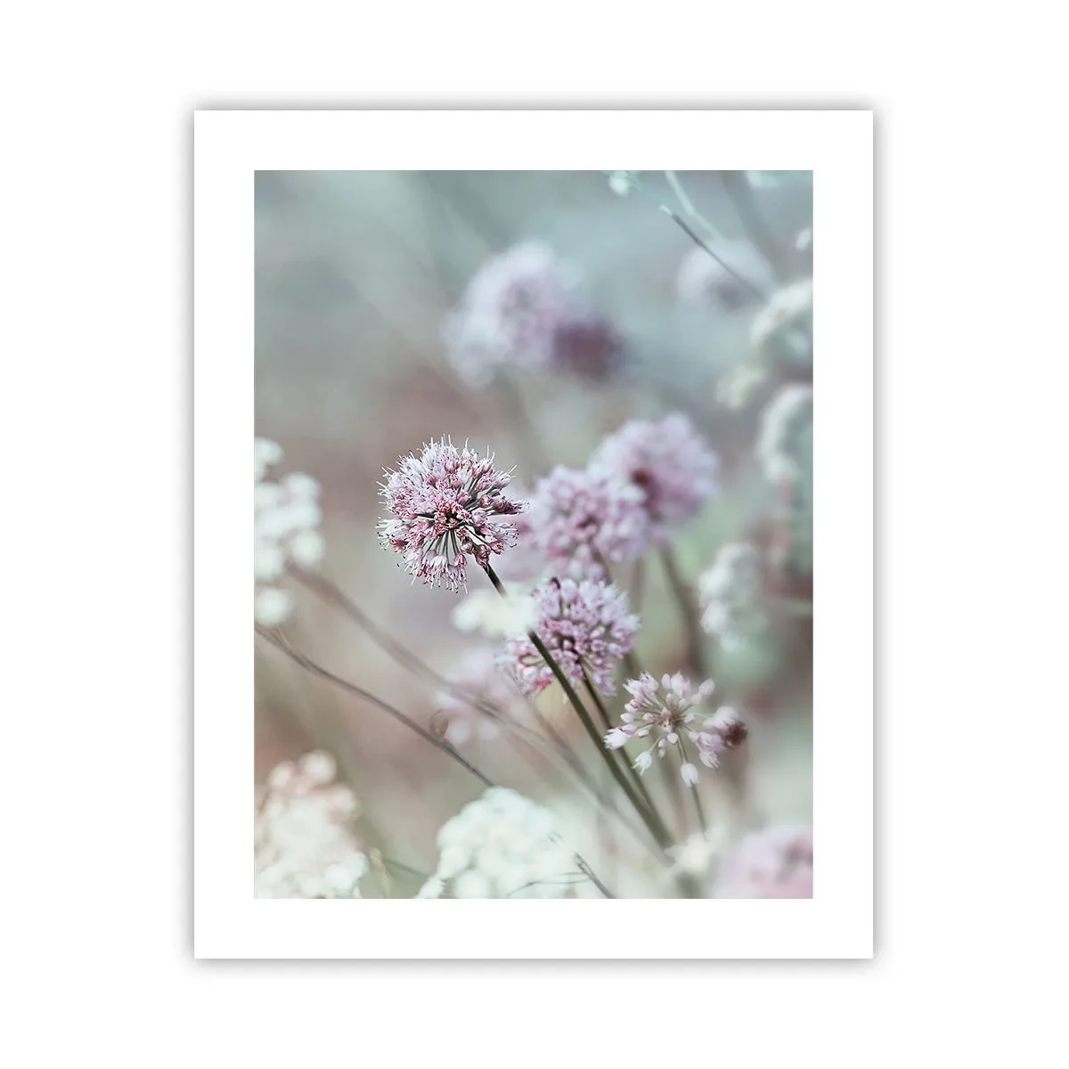 Poster - Süße filigrane Kräuter - 40x50 cm