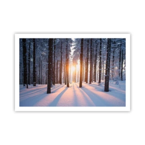 Poster - Ganz klar schwarz auf weiß - 91x61 cm