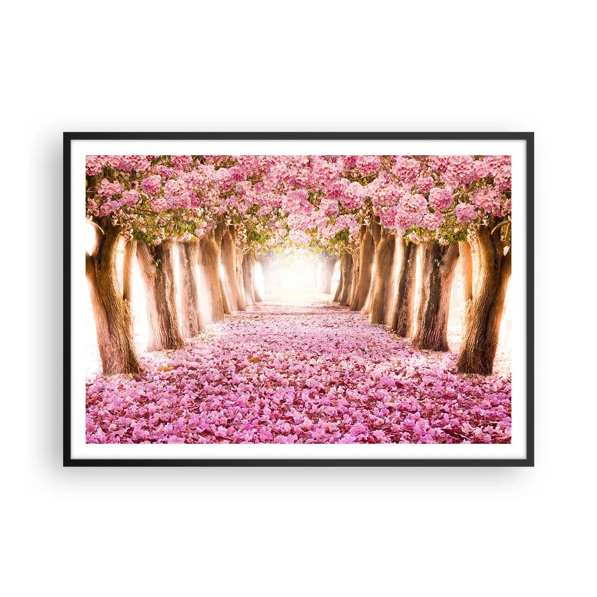 Poster in einem schwarzem Rahmen - Eine Allee blühender Bäume in Rosatönen - 100x70cm - Der Weg ins Paradies - Moderne Wanddekoration für Wohnzimmer und Schlafzimmer ARTTOR