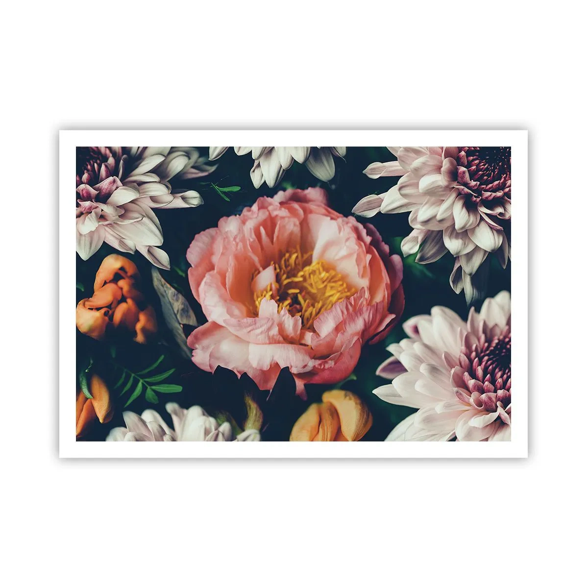 Poster - Blumenarrangement mit Pfingstrosen und Chrysanthemen auf dunklem Hintergrund - 100x70cm - Mit barocker Pracht - Moderne Wanddekoration für Wohnzimmer und Schlafzimmer ARTTOR