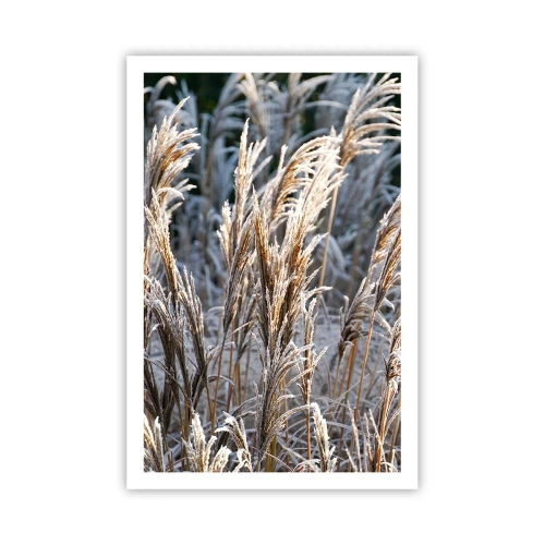 Poster - Gekleidet mit Frost - 61x91 cm