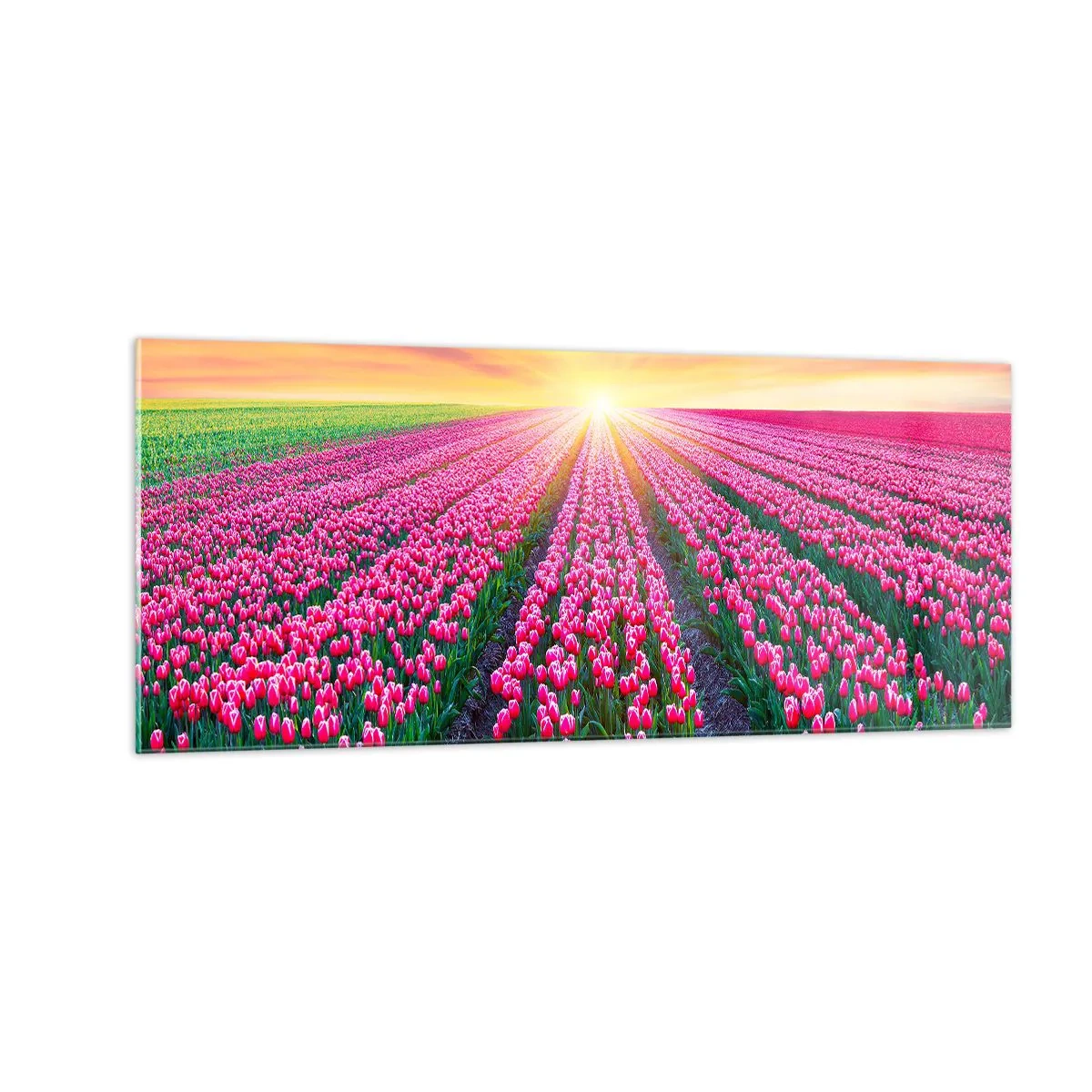 Glasbild - Bild auf glas - Schönheitsfarm - 100x40 cm