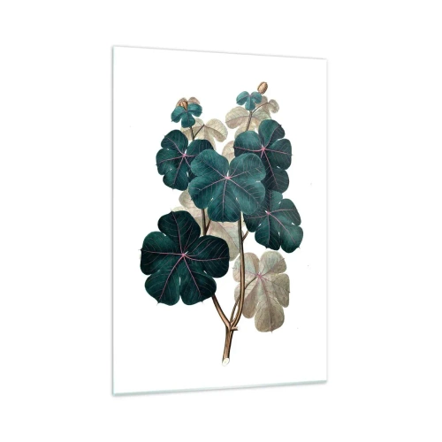 Glasbild - Bild auf glas - Botanische Illustration mit Blättern in Grün- und Beigetönen - 70x100cm - Aus dem alten Herbarium - Moderne Wanddekoration für Wohnzimmer und Schlafzimmer ARTTOR