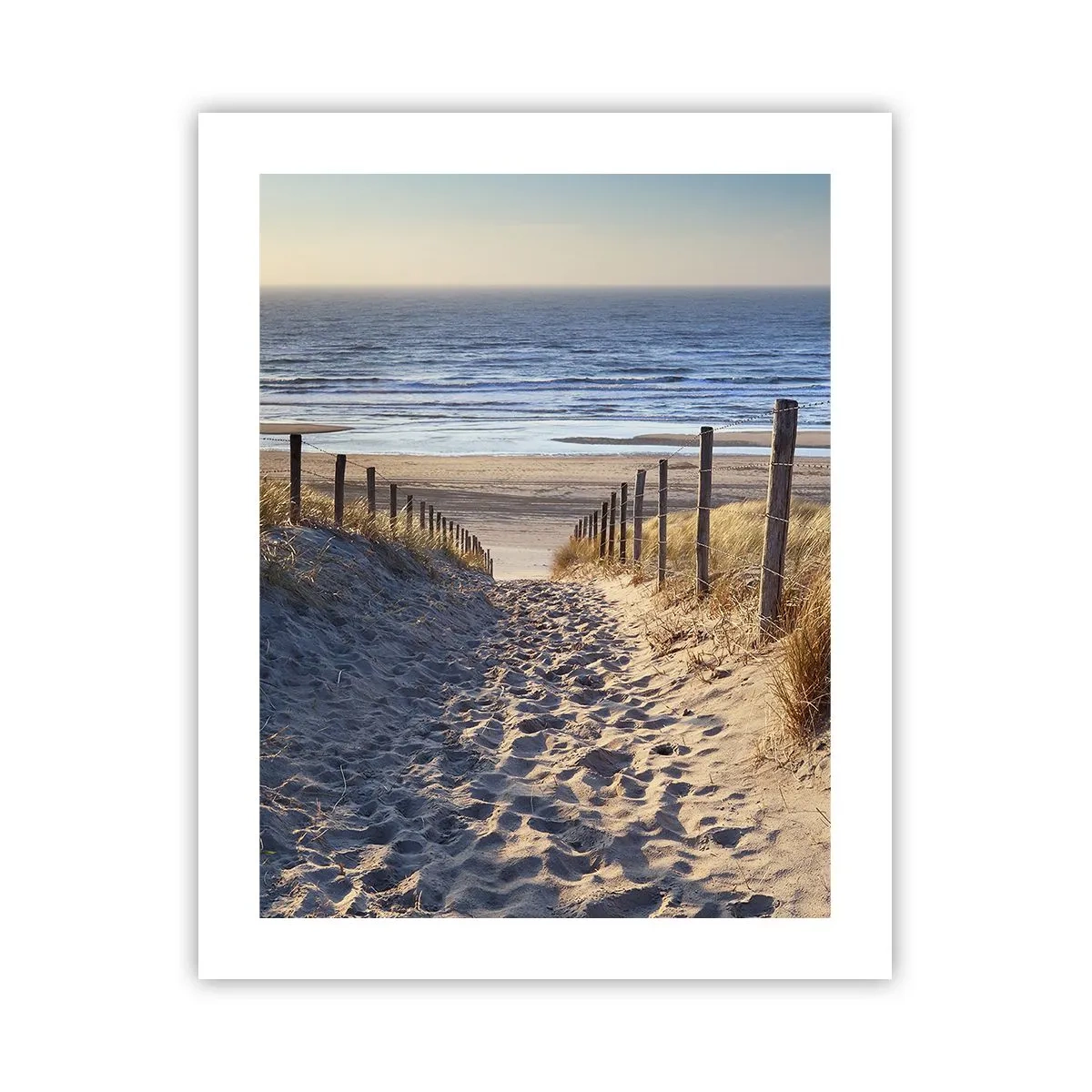 Poster - Das Rauschen des Meeres, der Gesang der Vögel, ein wilder Strand im Gras ... - 40x50 cm